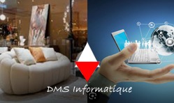 DMS Informatique